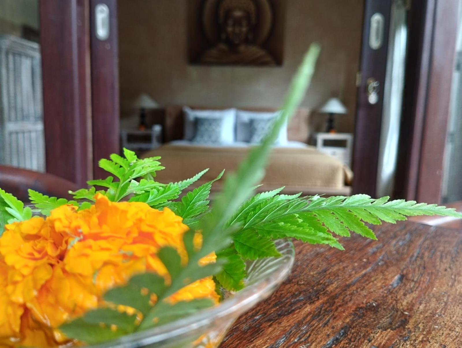 Umah Ubud Guest House المظهر الخارجي الصورة